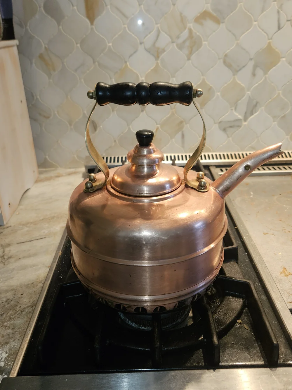 Williams Sonoma simplex copper